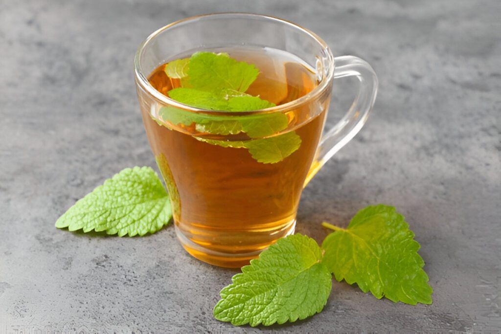 Lemon Balm Recipe for Weight Loss