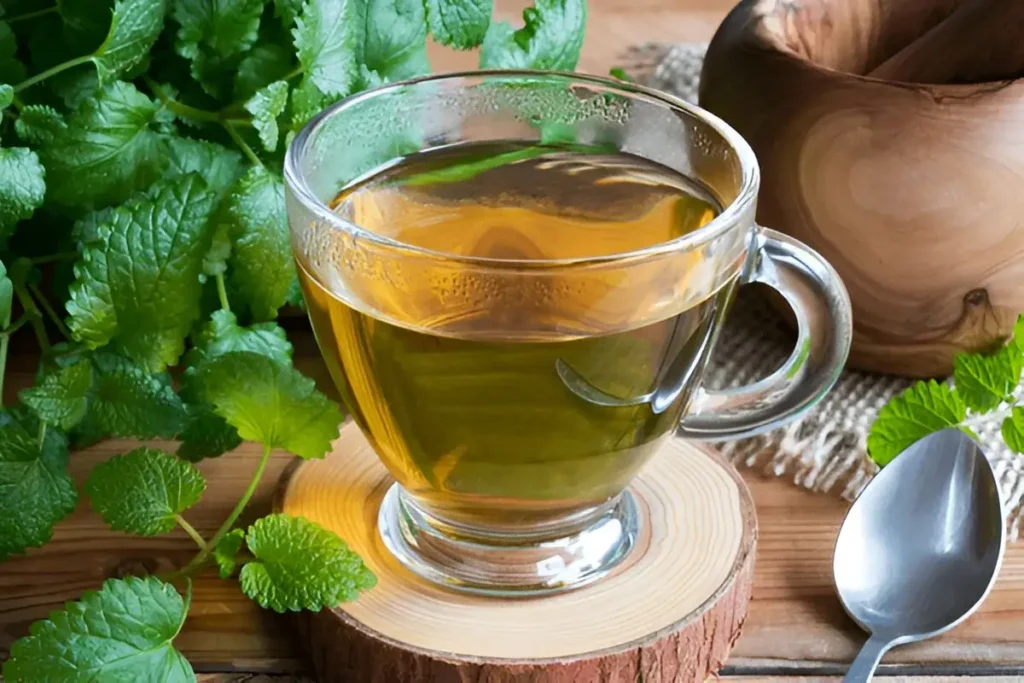 Lemon Balm Recipe for Weight Loss